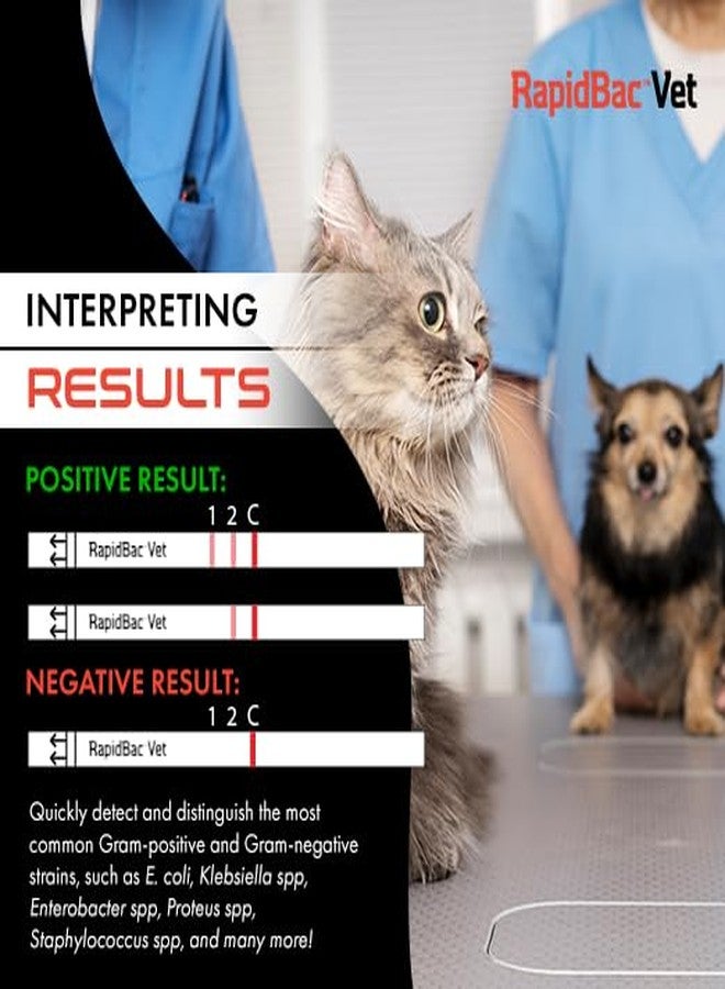 WaterSafe RapidBac™ Vet – 15-Minute at-Home Urine Test for Dogs and Cats to Quickly Screen for UTI Causing Bacteria, 1 Pack - Image 3